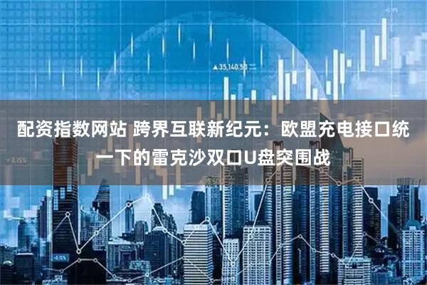 配资指数网站 跨界互联新纪元：欧盟充电接口统一下的雷克沙双口U盘突围战