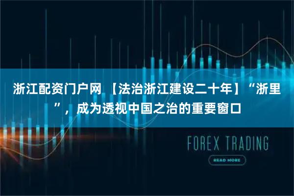 浙江配资门户网 【法治浙江建设二十年】“浙里”,成为透视中国之治的重要窗口